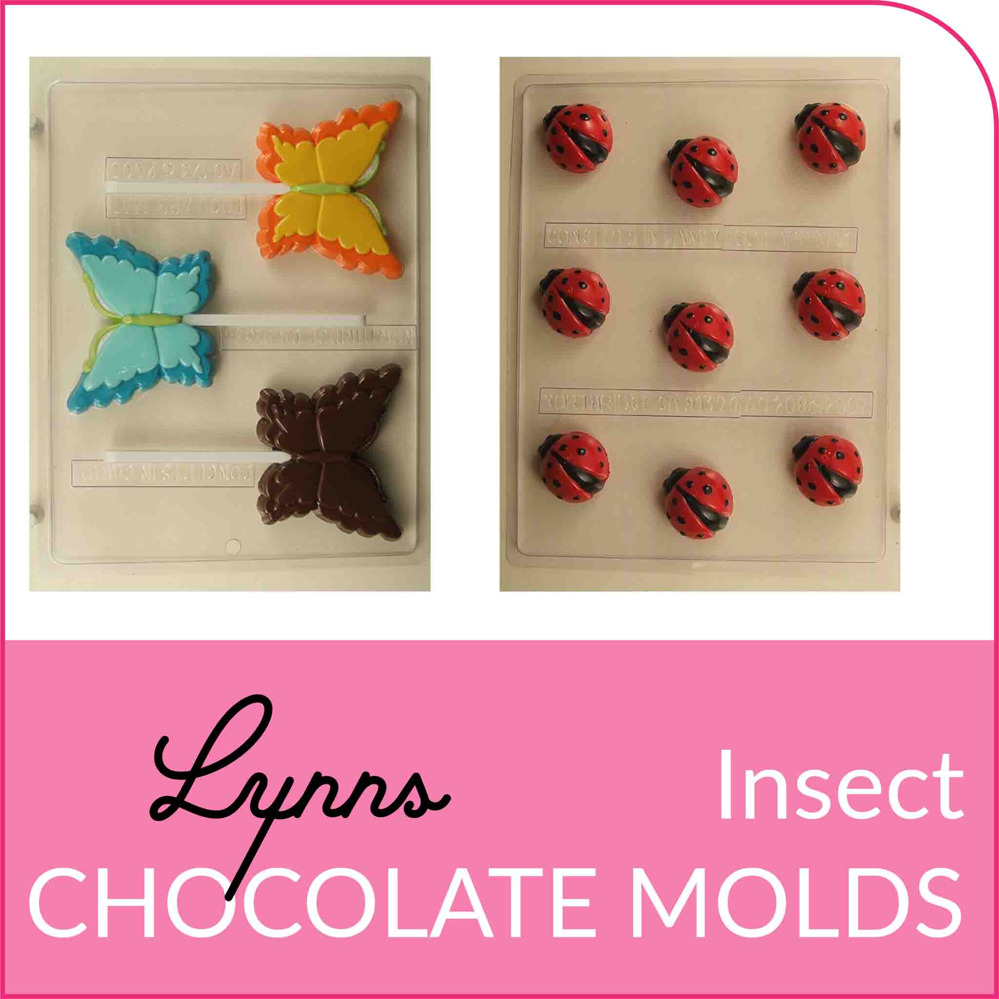 Insect & Bug Chocolate Molds Lynn's Cake, Candy & Chocolate Supplies