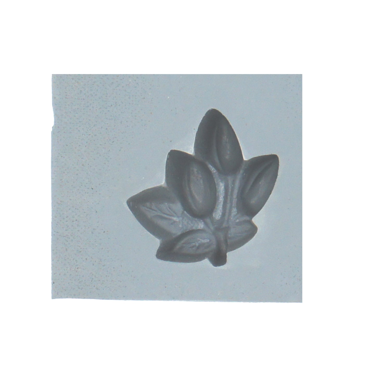 Close-up of berries and leaf rubber mint mold for candy or cream cheese mints