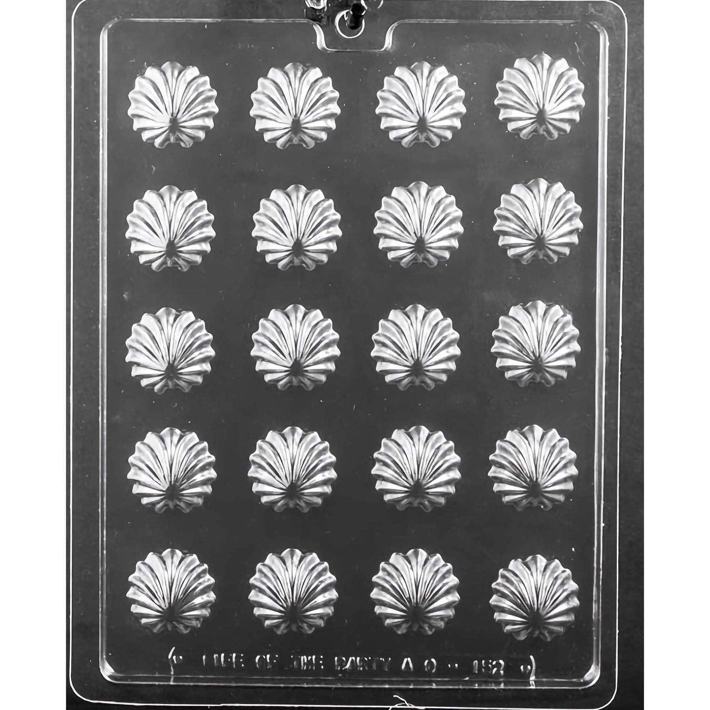 Clear plastic chocolate mold featuring twenty cavities arranged in five rows of four, each designed to create chocolates in the shape of elegant swirl shells. The detailed design of each compartment mimics a scallop shell with intricate ridges and a central swirl.