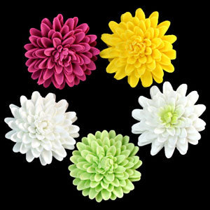 Assorted gumpaste chrysanthemum flowers in fuchsia, white, yellow, and light green for cake decorating.
