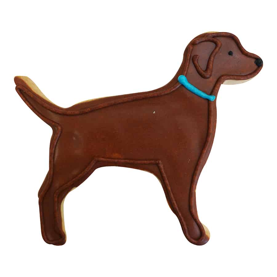 Decorated sugar cookie in the shape of a Labrador Retriever, featuring brown icing and a blue collar.