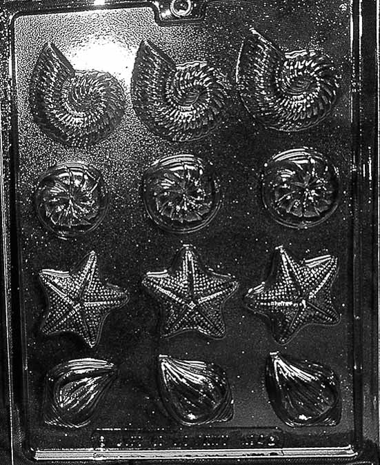 N054 SHELL ASSORTMENT chocolate mold with multiple shell cavities in two sizes, showing ribbed and spiral textures.