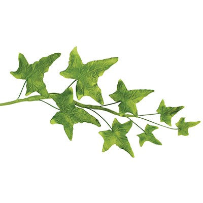 Realistic sugar ivy leaves made using JEM foliage cutters on a vine.