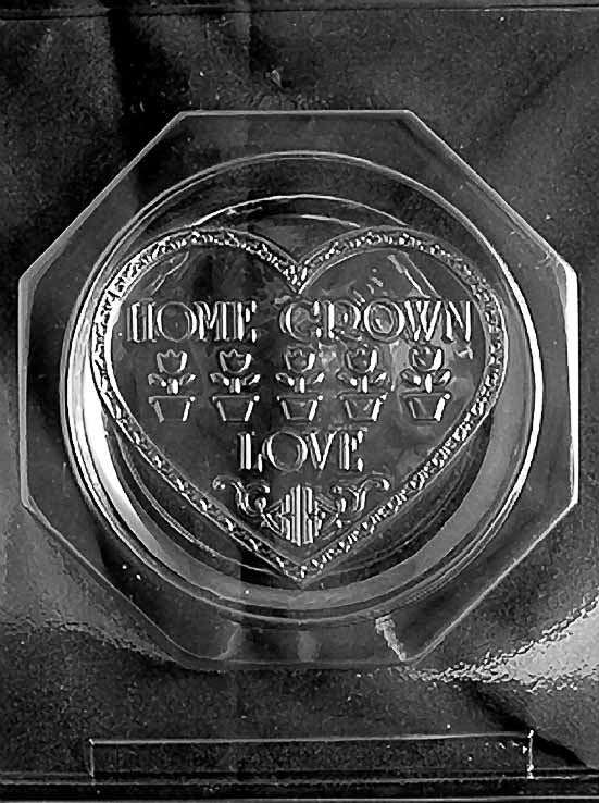 HOME GROWN PLATE chocolate mold with rectangular embossed plate cavities.