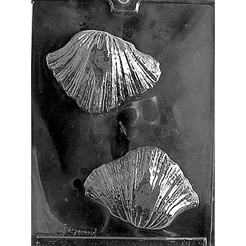 Clear Bear Claw Shell Chocolate Mold photographed against a black background with two large, deeply ridged shell cavities