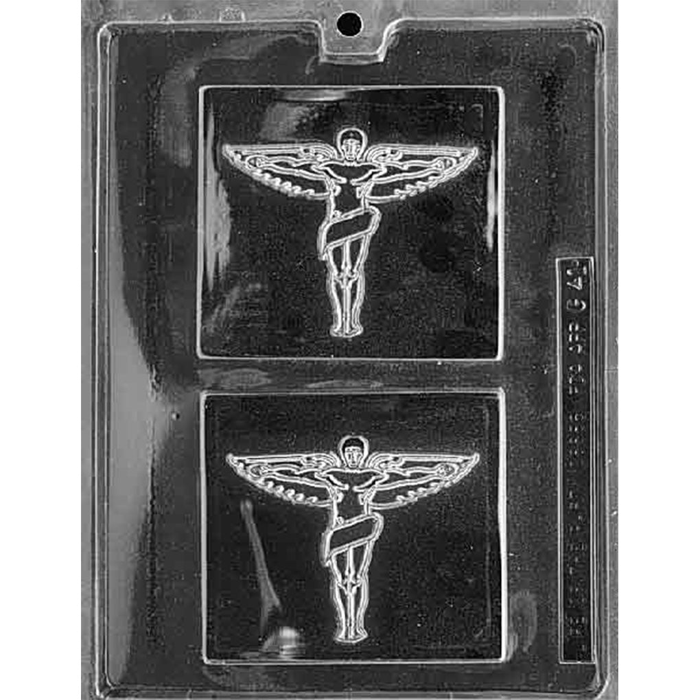 Clear plastic chocolate mold with two square plaque cavities, each featuring a chiropractic insignia with a winged figure and coiled staff symbol.