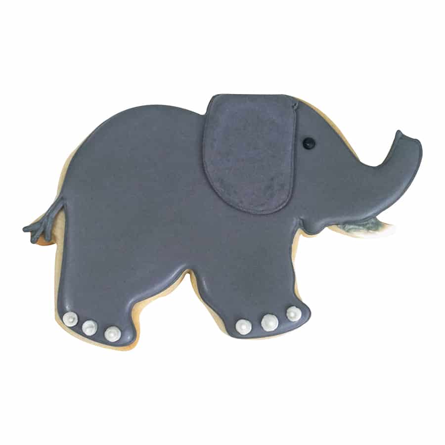 Decorated elephant cookie with gray icing, white tusks, and detailed feet.