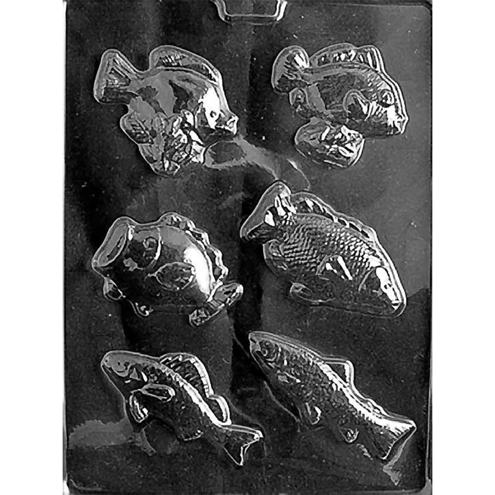 Clear plastic chocolate mold photographed on a black background with six assorted fish-shaped cavities, including rounded and long-bodied fish designs with raised fin and scale details.