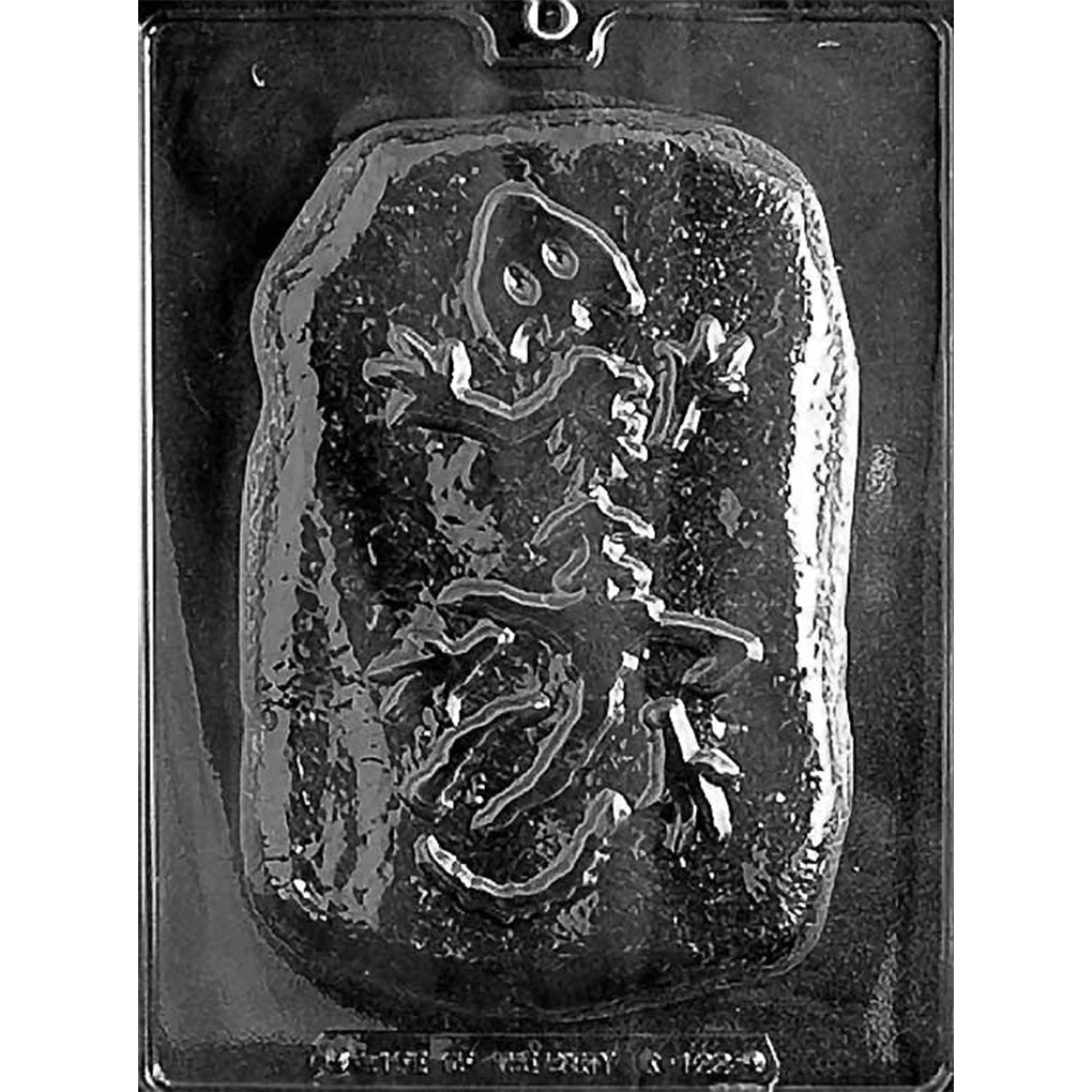 Clear plastic Dinosaur Fossil in Rock Chocolate Mold with one large textured rock cavity featuring a raised dinosaur skeleton