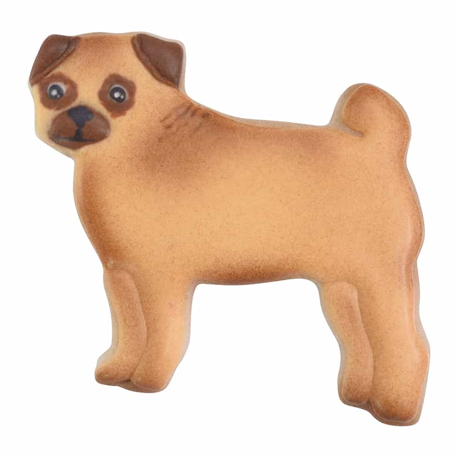 Decorated pug dog cookie with tan icing, dark brown facial details, and a curled tail.