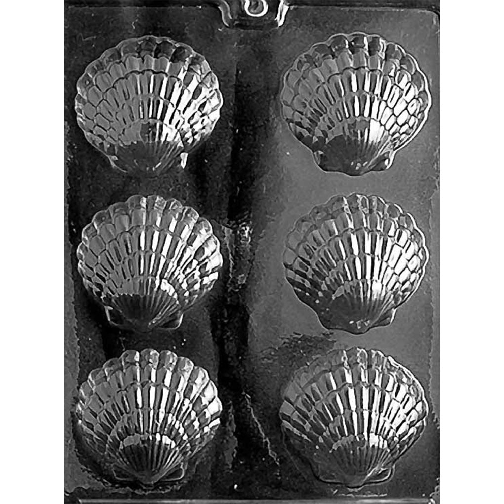 Clear plastic chocolate mold on a dark background with six scallop shell-shaped cavities arranged in two columns, each shell showing raised ridges and a scalloped edge.