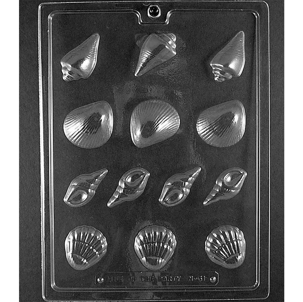 Thirteen-cavity seashell assortment chocolate mold with cone, rounded ribbed, small spiral, and scallop shell designs