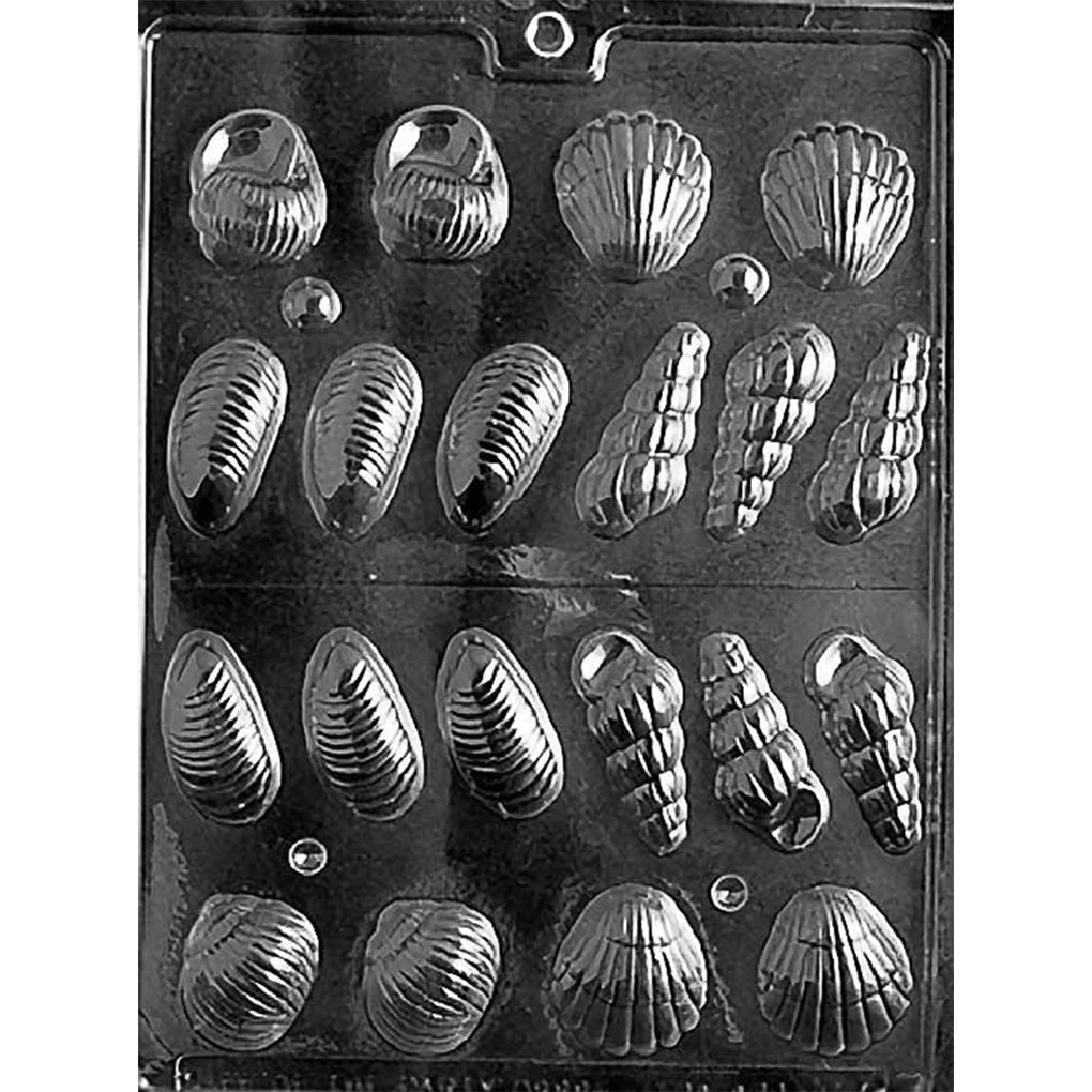 Clear plastic 3D chocolate mold tray with assorted seashell cavities, including scallop and spiral shells.