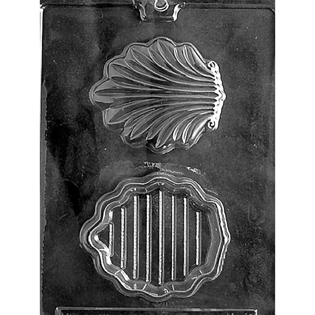 Clear plastic Shell Pour Box Chocolate Mold with separate ridged scallop shell lid and deep matching base cavities