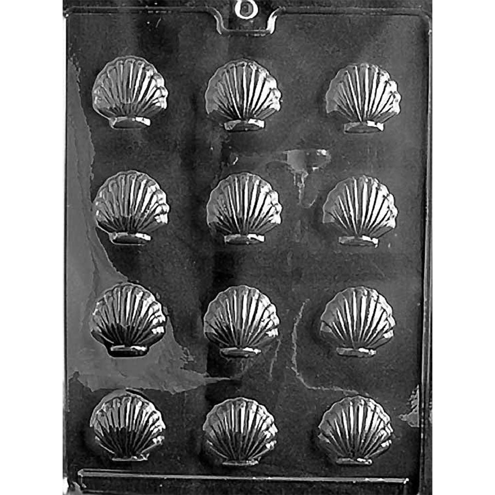 Clear plastic chocolate mold with twelve small scallop shell cavities arranged in a grid, each shell showing raised fan ridges and a curved bottom edge.