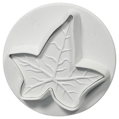 Close-up of single ivy leaf cutter showing detailed veining