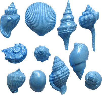 Shell Set 7