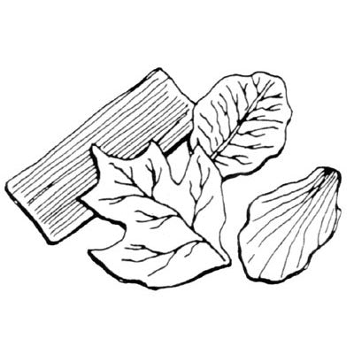 FMM leaf Veiner Set B ea