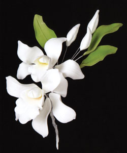 White Cymbidium Orchid Spray