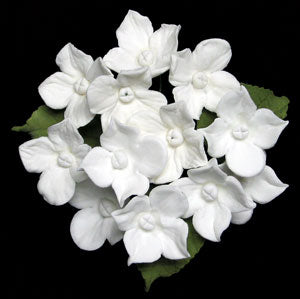 White Hydrangea Gumpaste Flower Bunch