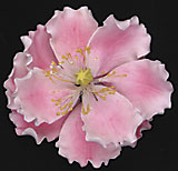 Gum Paste Pink Peony Flower