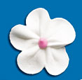 Royal Icing Daisy - Small