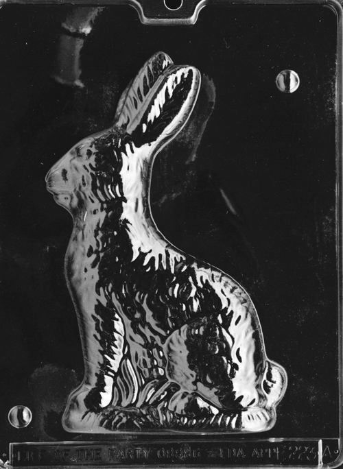 Clear plastic chocolate mold showing the front half of an 8-inch sitting bunny with textured fur, upright ears, and a defined face and paws.