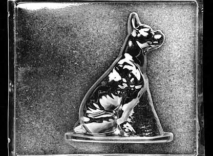 Clear plastic chocolate mold showing the front half of a standing Boxer dog with a square muzzle, alert ears, and defined muscular body contours.