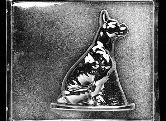 Clear plastic chocolate mold showing the front half of a standing Boxer dog with a square muzzle, alert ears, and defined muscular body contours.