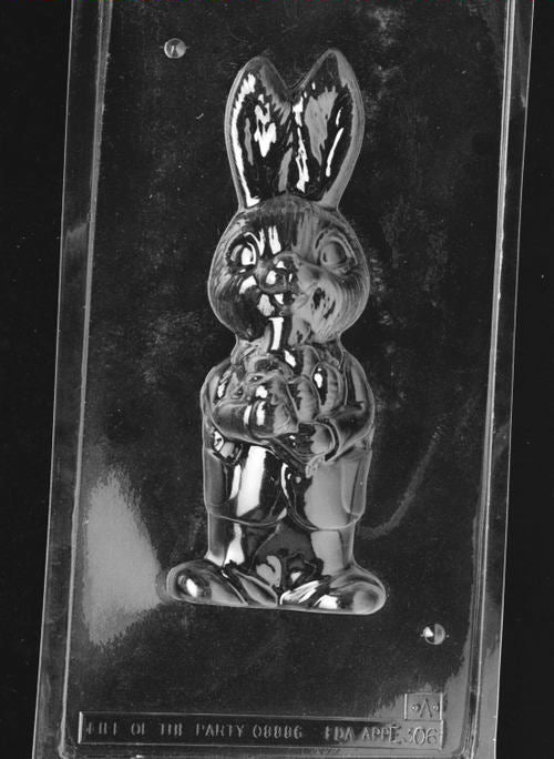 Clear plastic chocolate mold showing the front half of a standing boy bunny holding a large carrot, with raised facial features, upright ears, and outfit details.