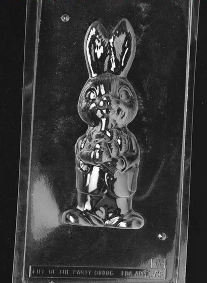 Clear plastic chocolate mold showing the front half of a standing boy bunny holding a large carrot, with raised facial features, upright ears, and outfit details.