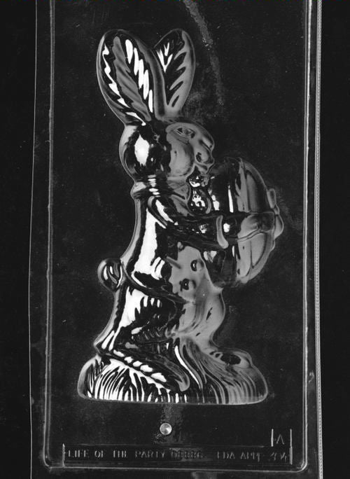 Clear plastic chocolate mold showing the front half of a tall bunny holding a large egg, with textured fur, upright ears, and a detailed grassy base.