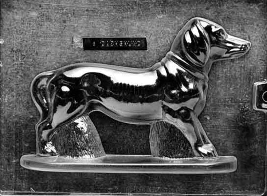 Clear plastic chocolate mold showing the front half of a dachshund with a long body, short legs, and an alert head, designed to form a 3D chocolate dog.