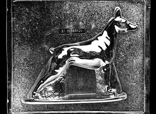 Clear plastic chocolate mold showing the front half of a Doberman standing in a proud pose with pointed ears, long legs, and a sleek body outline.