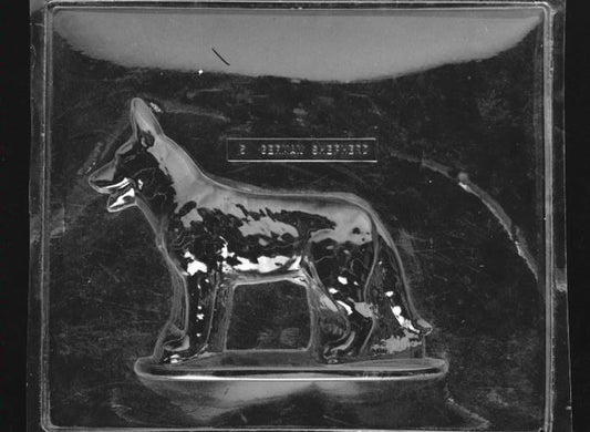 Clear plastic chocolate mold showing the front half of a standing German Shepherd with upright ears, long muzzle, and defined chest and leg contours in profile.