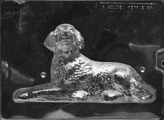 Clear plastic chocolate mold showing one half of a Golden Retriever laying down with textured fur detail, relaxed head, and front paws extended.
