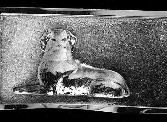Clear plastic chocolate mold showing the matching back half of a Labrador Retriever with tail and rear body shaping, designed to pair with the front half for a complete 3D chocolate dog.