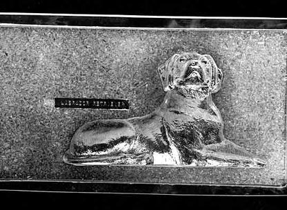 Clear plastic chocolate mold showing the front half of a Labrador Retriever in a standing pose with an expressive face, long body, and tail detail.