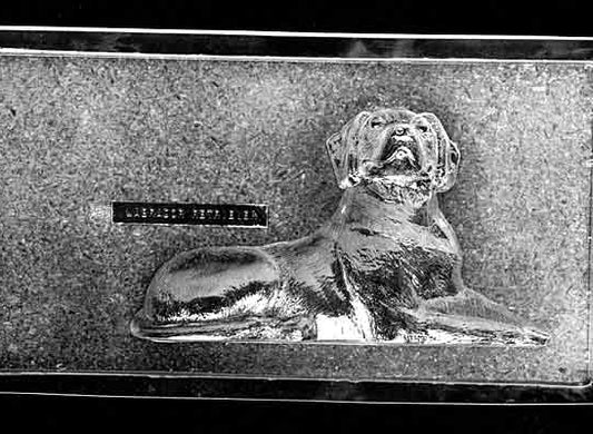 Clear plastic chocolate mold showing the front half of a Labrador Retriever in a standing pose with an expressive face, long body, and tail detail.