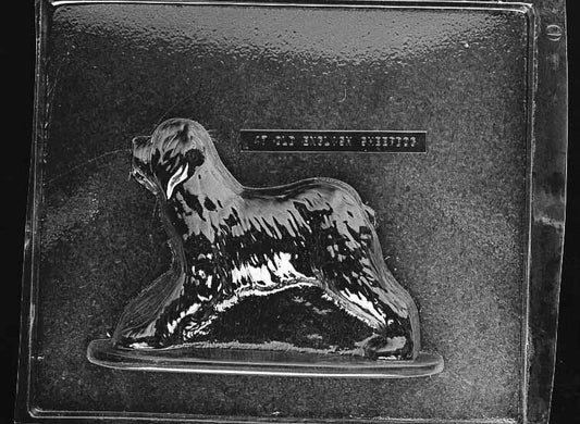 Clear plastic chocolate mold showing the front half of an Old English Sheepdog with a full-body pose and dense shaggy fur texture across the coat.