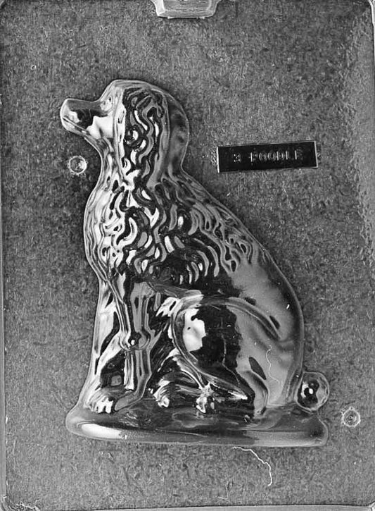 Clear plastic chocolate mold showing the front half of a seated poodle with curly coat texture, long ear detail, and a rounded base platform.