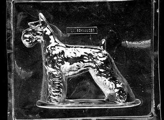Clear plastic chocolate mold showing the front half of a standing schnauzer with bushy eyebrow detail, textured coat, and defined legs in profile.