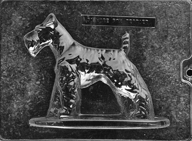 Clear plastic chocolate mold showing the front half of a Wire Fox Terrier standing in profile, with scruffy coat texture and defined facial features.