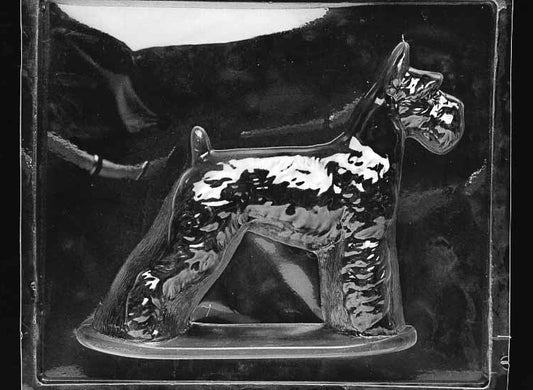 Clear plastic chocolate mold showing the matching back half of a Wire Fox Terrier with tail and rear leg detail, designed to pair with the front half for a complete 3D chocolate dog.