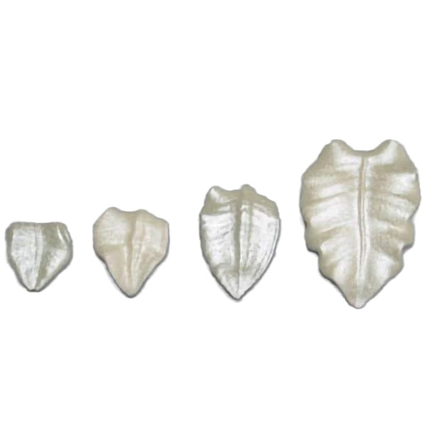 A series of silver royal icing leaves, varying in size and detailed with delicate veins. The white color provides a neutral complement to vibrant decorations, making them versatile for various cake designs and themes.