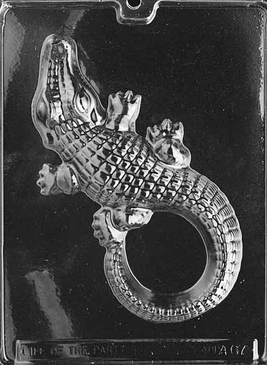 Large single alligator cavity with pronounced scales, legs, and tail.