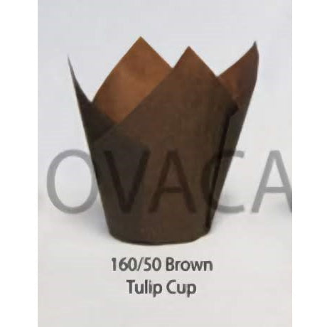 Brown Tulip Cupcake Cups