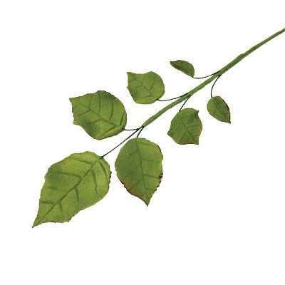 Sugar craft rose leaf spray made with JEM small rose leaf cutters.
