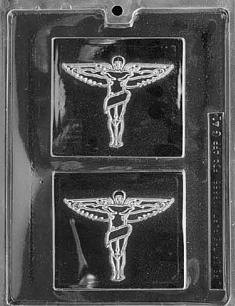 Chiropractic Insignia mold, square plaque with medical emblem and lettering.