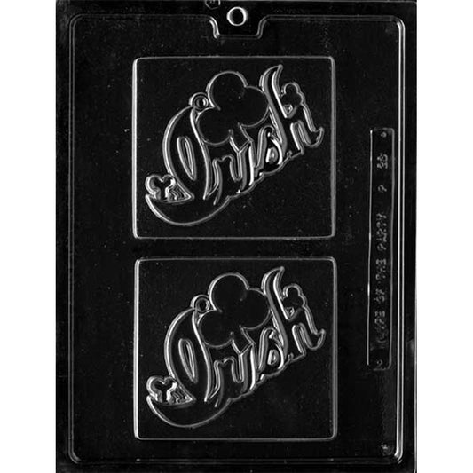 Irish shamrock plaque chocolate mold with two large rectangular cavities, each embossed with the word “Irish” in script and a shamrock design, shown in clear plastic.